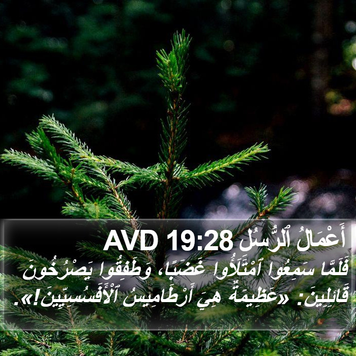 أَعْمَالُ ٱلرُّسُلِ 19:28 AVD Bible Study