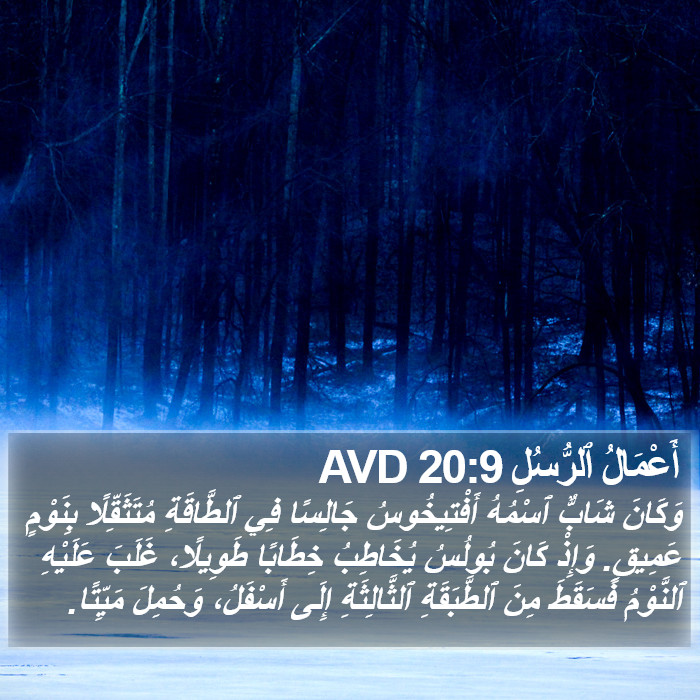 أَعْمَالُ ٱلرُّسُلِ 20:9 AVD Bible Study