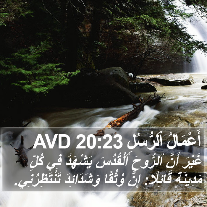 أَعْمَالُ ٱلرُّسُلِ 20:23 AVD Bible Study
