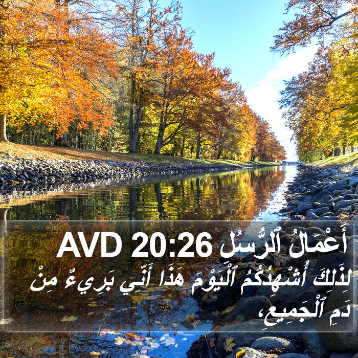 أَعْمَالُ ٱلرُّسُلِ 20:26 AVD Bible Study
