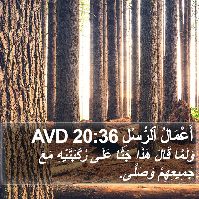 أَعْمَالُ ٱلرُّسُلِ 20:36 AVD Bible Study