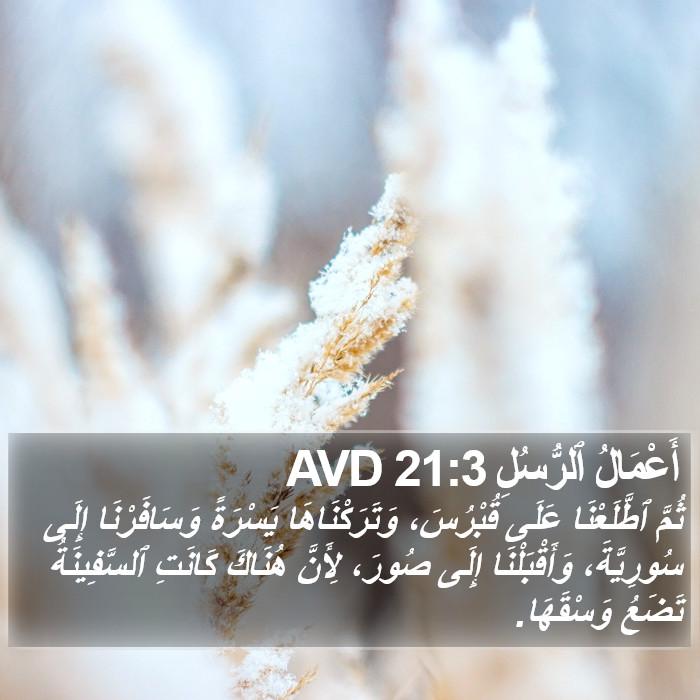 أَعْمَالُ ٱلرُّسُلِ 21:3 AVD Bible Study