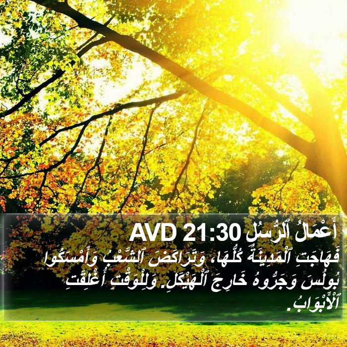 أَعْمَالُ ٱلرُّسُلِ 21:30 AVD Bible Study