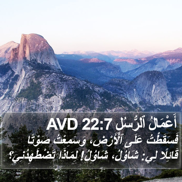 أَعْمَالُ ٱلرُّسُلِ 22:7 AVD Bible Study