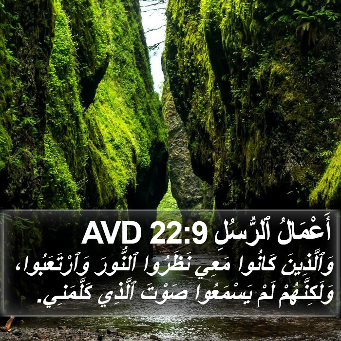 أَعْمَالُ ٱلرُّسُلِ 22:9 AVD Bible Study