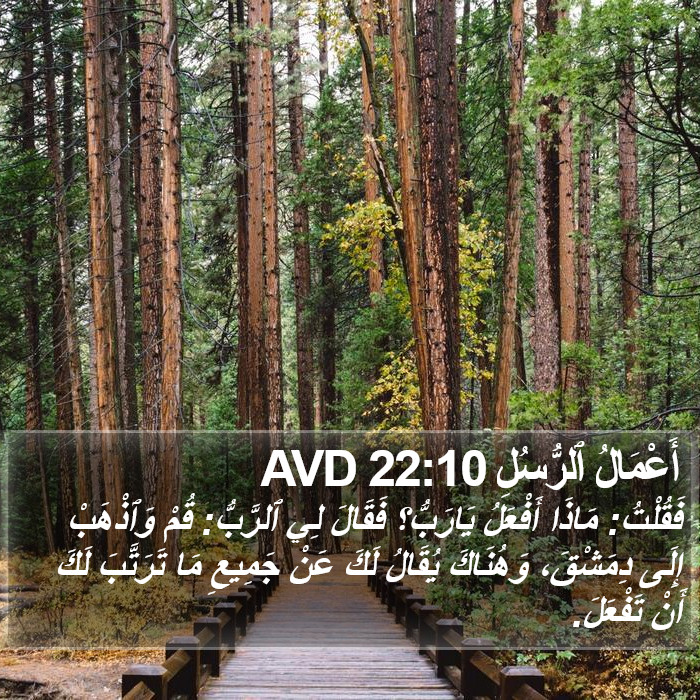 أَعْمَالُ ٱلرُّسُلِ 22:10 AVD Bible Study