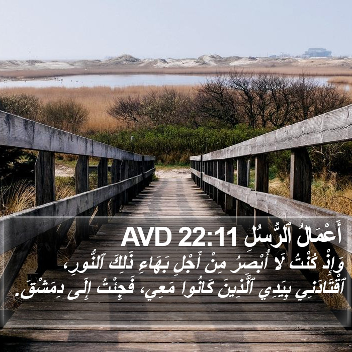 أَعْمَالُ ٱلرُّسُلِ 22:11 AVD Bible Study