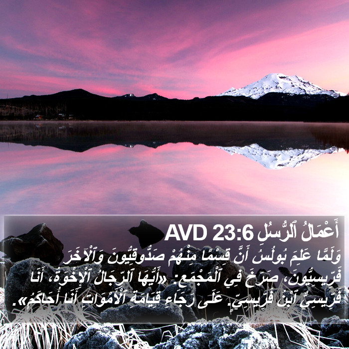 أَعْمَالُ ٱلرُّسُلِ 23:6 AVD Bible Study