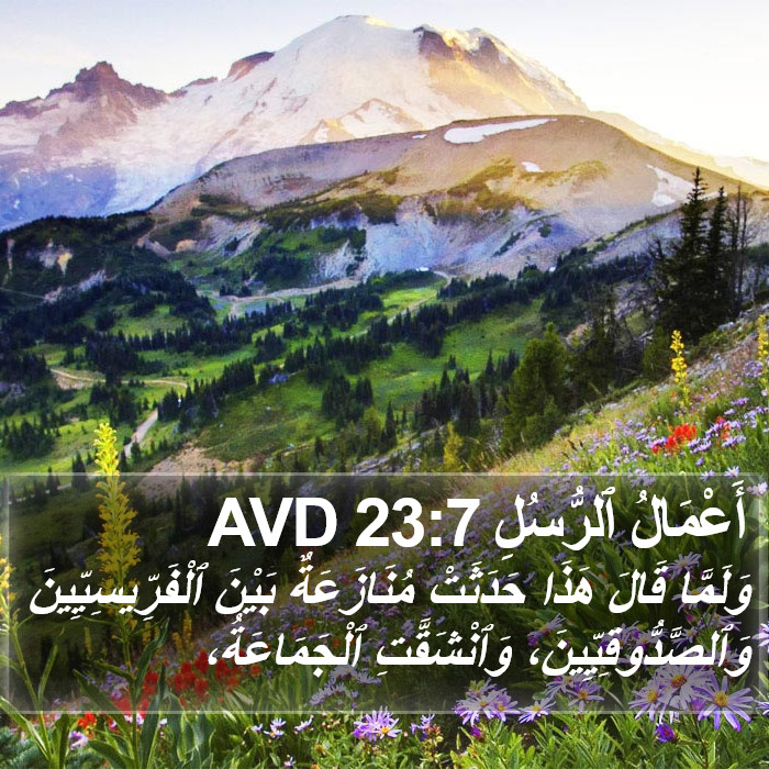 أَعْمَالُ ٱلرُّسُلِ 23:7 AVD Bible Study