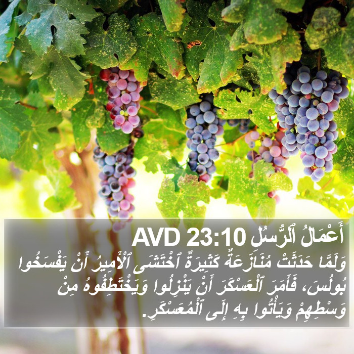 أَعْمَالُ ٱلرُّسُلِ 23:10 AVD Bible Study