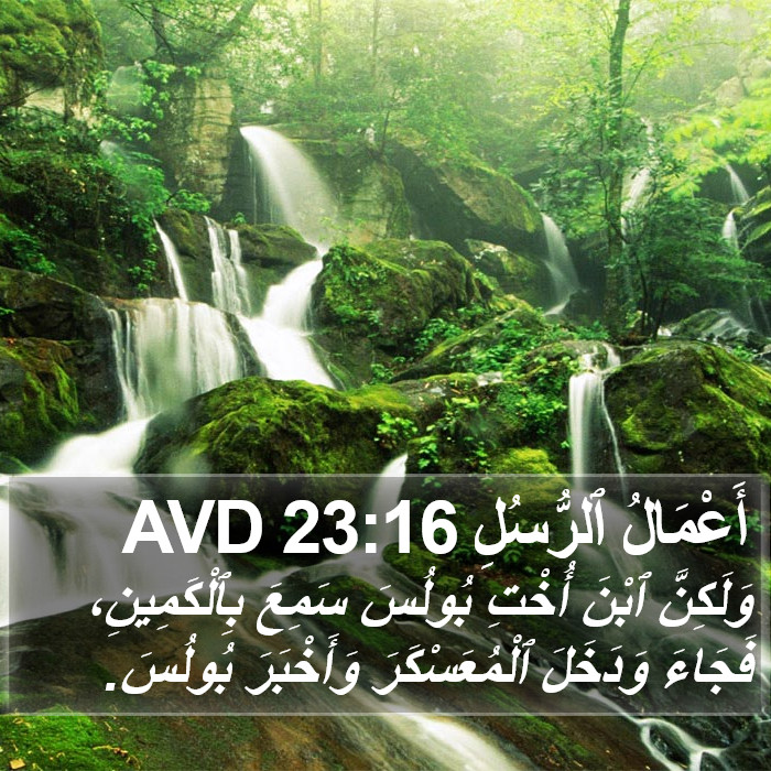 أَعْمَالُ ٱلرُّسُلِ 23:16 AVD Bible Study