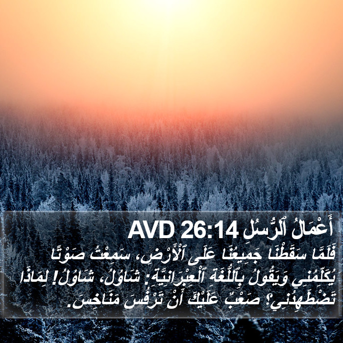 أَعْمَالُ ٱلرُّسُلِ 26:14 AVD Bible Study