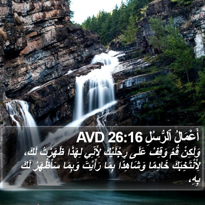 أَعْمَالُ ٱلرُّسُلِ 26:16 AVD Bible Study