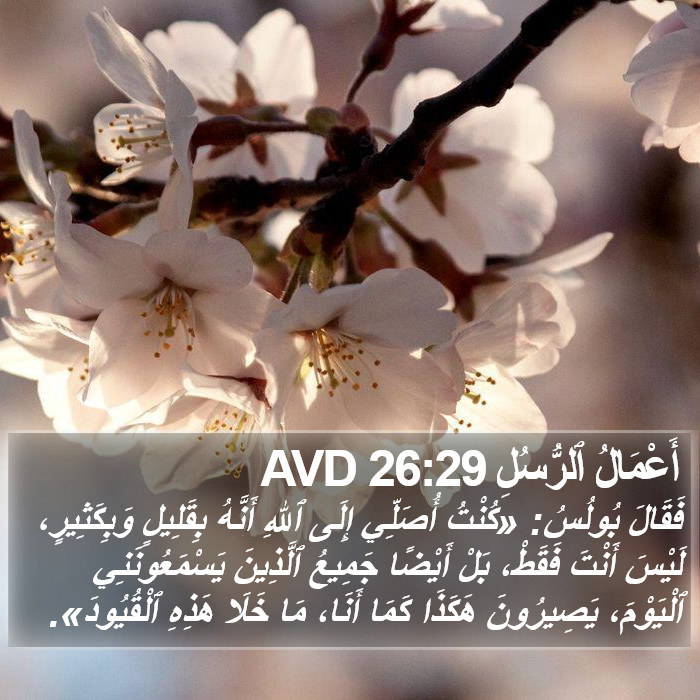 أَعْمَالُ ٱلرُّسُلِ 26:29 AVD Bible Study