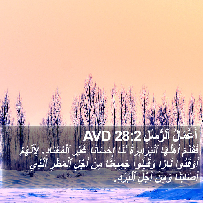 أَعْمَالُ ٱلرُّسُلِ 28:2 AVD Bible Study