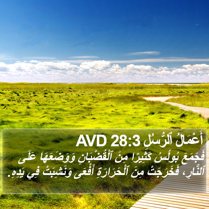 أَعْمَالُ ٱلرُّسُلِ 28:3 AVD Bible Study