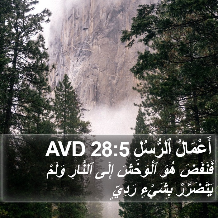 أَعْمَالُ ٱلرُّسُلِ 28:5 AVD Bible Study