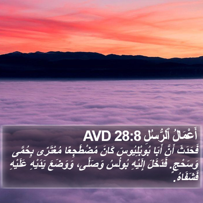 أَعْمَالُ ٱلرُّسُلِ 28:8 AVD Bible Study