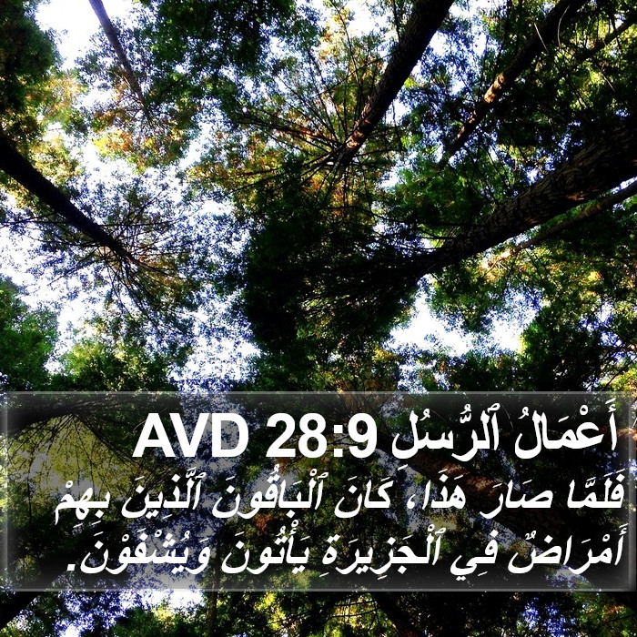 أَعْمَالُ ٱلرُّسُلِ 28:9 AVD Bible Study