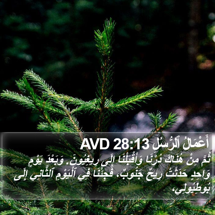 أَعْمَالُ ٱلرُّسُلِ 28:13 AVD Bible Study