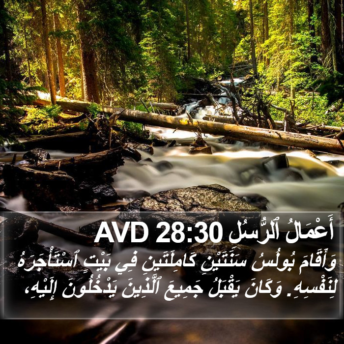 أَعْمَالُ ٱلرُّسُلِ 28:30 AVD Bible Study