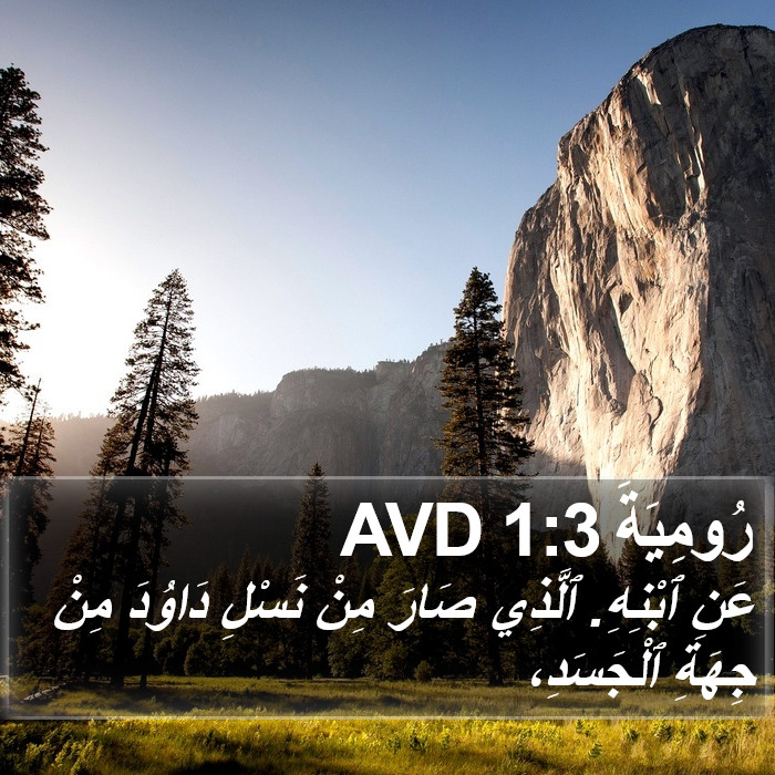 رُومِيَةَ 1:3 AVD Bible Study