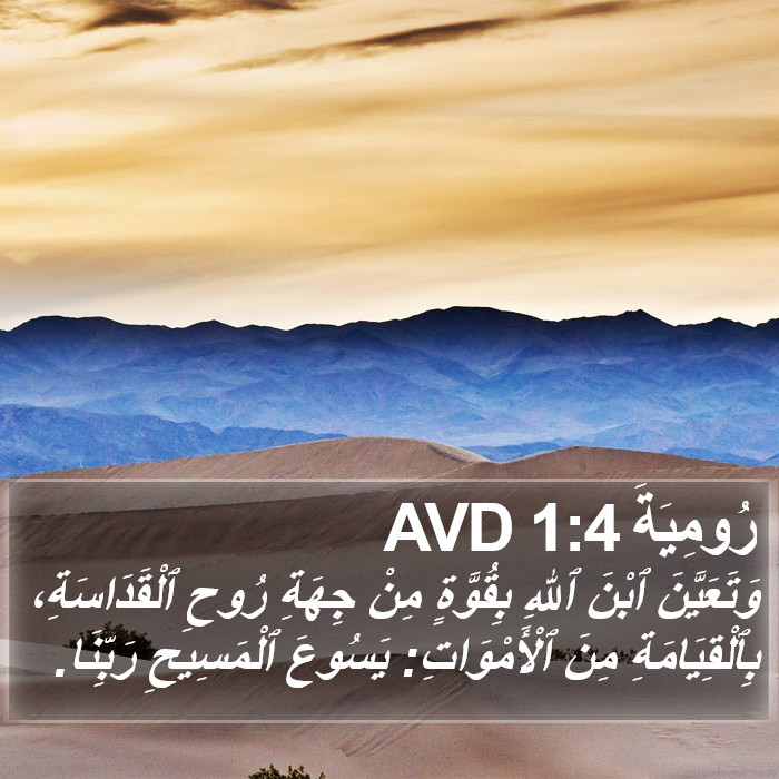 رُومِيَةَ 1:4 AVD Bible Study