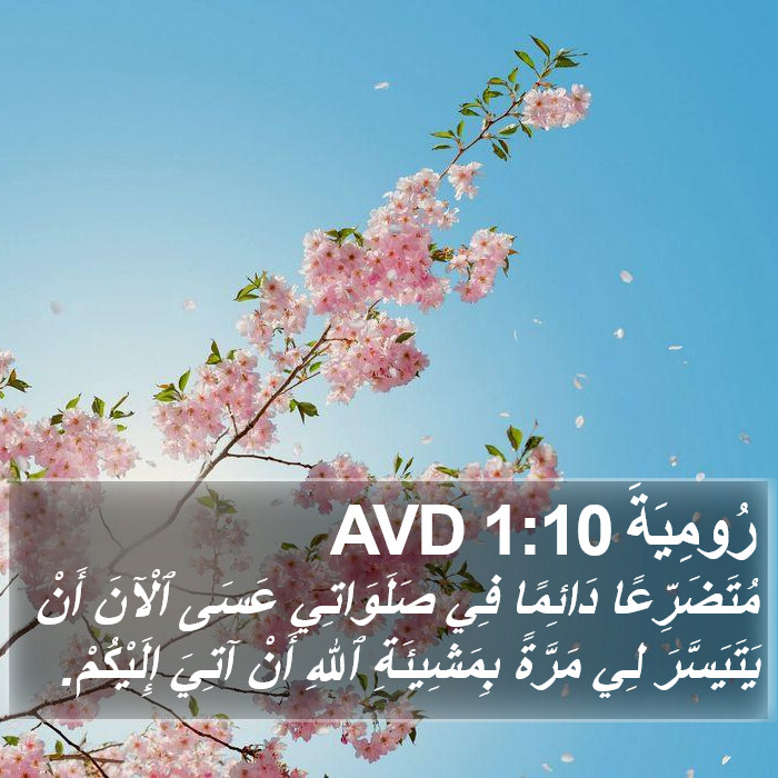 رُومِيَةَ 1:10 AVD Bible Study