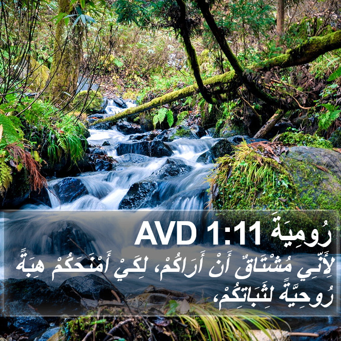 رُومِيَةَ 1:11 AVD Bible Study