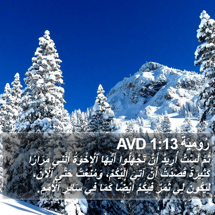 رُومِيَةَ 1:13 AVD Bible Study