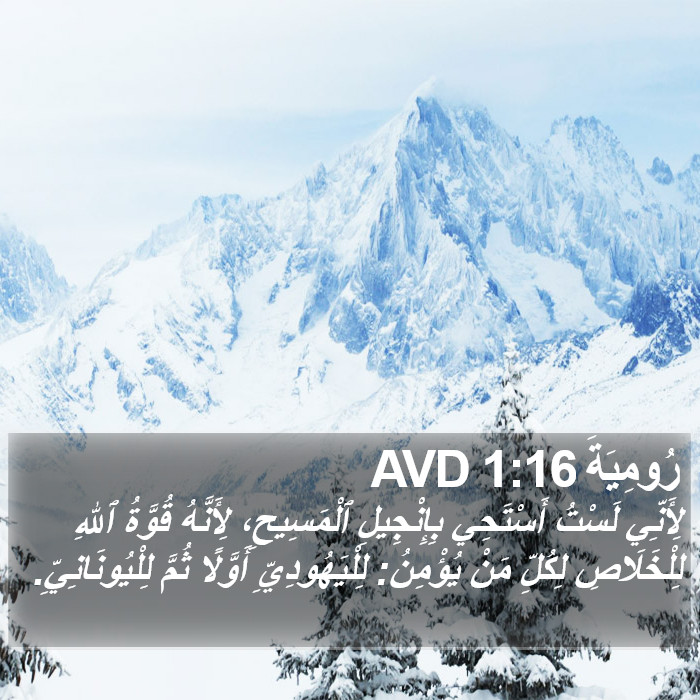 رُومِيَةَ 1:16 AVD Bible Study