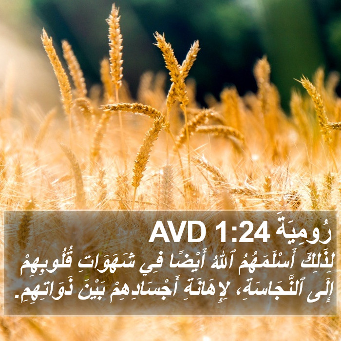 رُومِيَةَ 1:24 AVD Bible Study