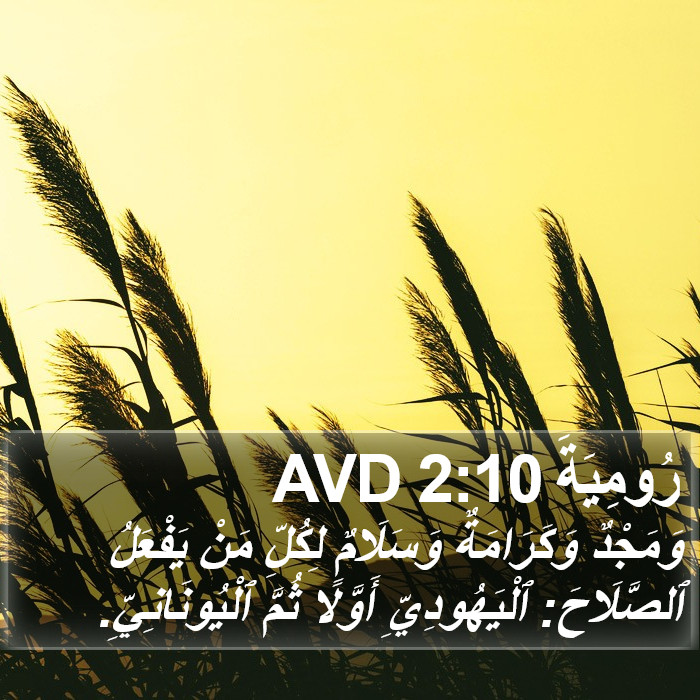 رُومِيَةَ 2:10 AVD Bible Study