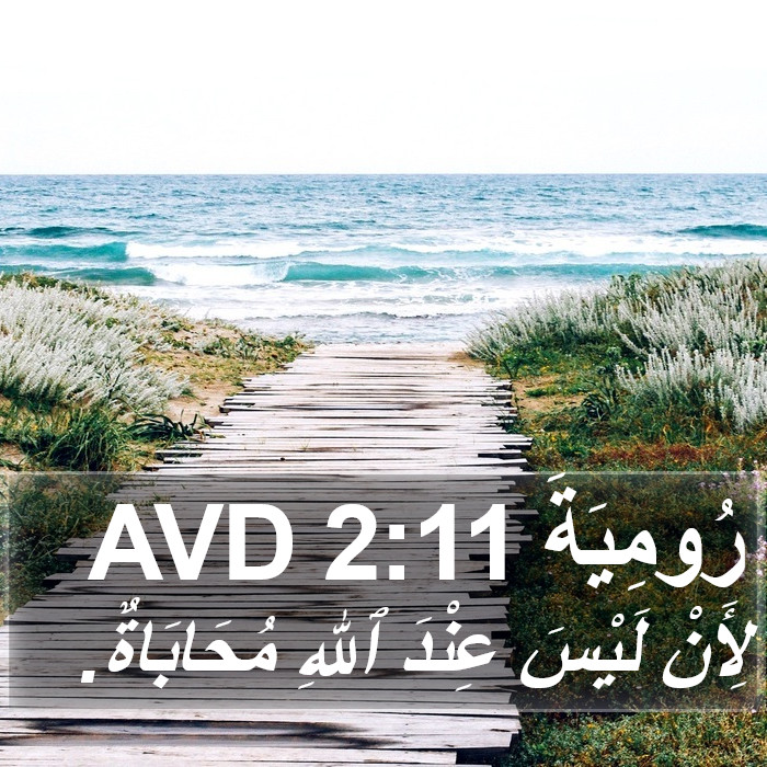 رُومِيَةَ 2:11 AVD Bible Study