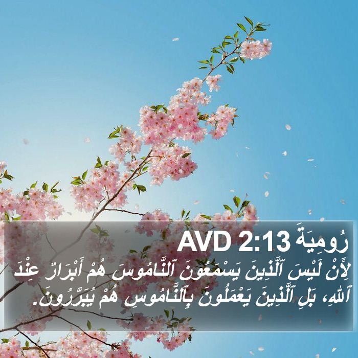 رُومِيَةَ 2:13 AVD Bible Study