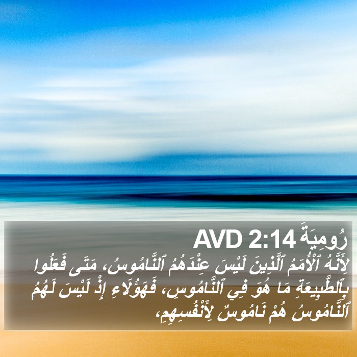 رُومِيَةَ 2:14 AVD Bible Study
