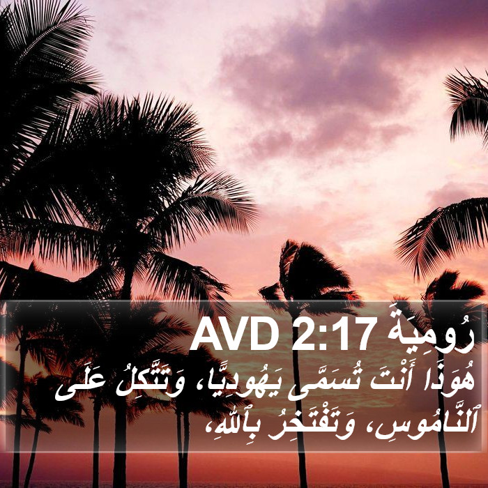 رُومِيَةَ 2:17 AVD Bible Study