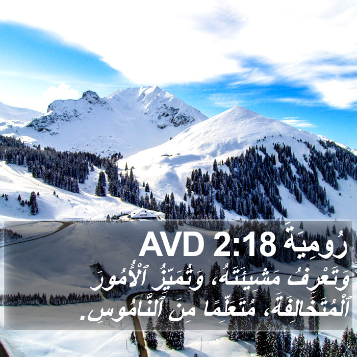 رُومِيَةَ 2:18 AVD Bible Study