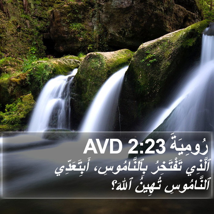 رُومِيَةَ 2:23 AVD Bible Study