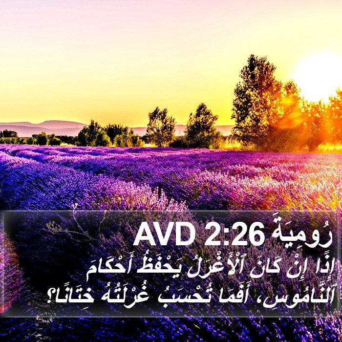 رُومِيَةَ 2:26 AVD Bible Study