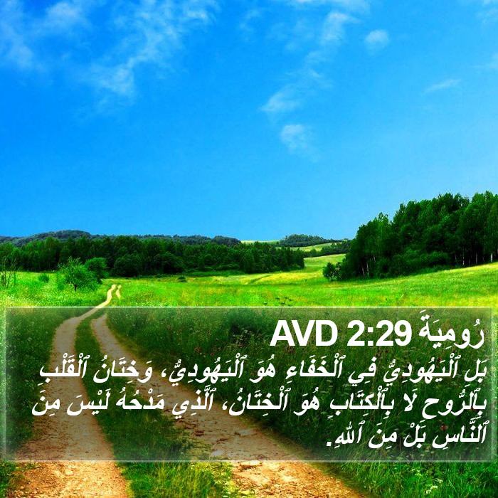 رُومِيَةَ 2:29 AVD Bible Study