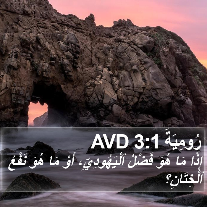 رُومِيَةَ 3:1 AVD Bible Study