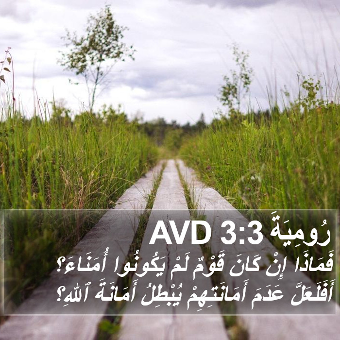 رُومِيَةَ 3:3 AVD Bible Study