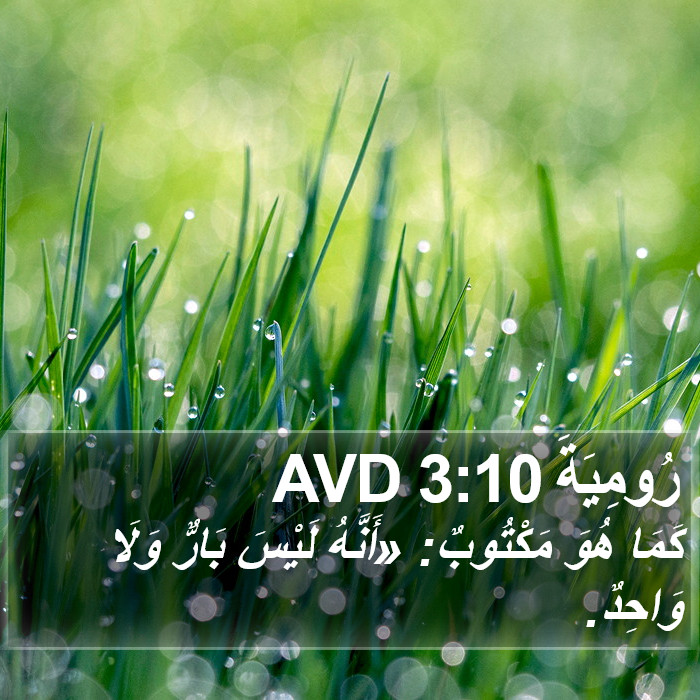 رُومِيَةَ 3:10 AVD Bible Study