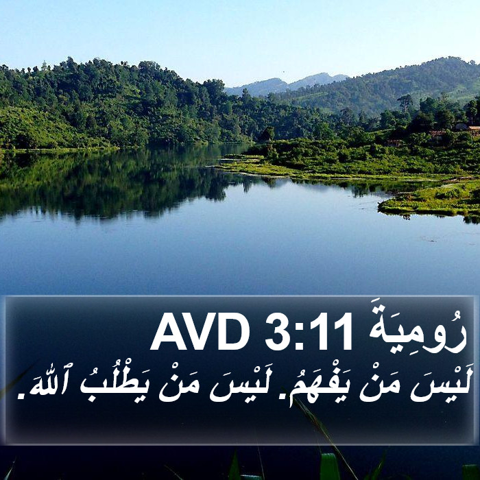 رُومِيَةَ 3:11 AVD Bible Study