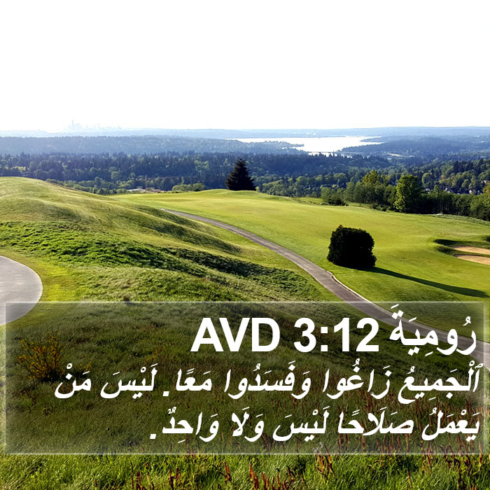 رُومِيَةَ 3:12 AVD Bible Study