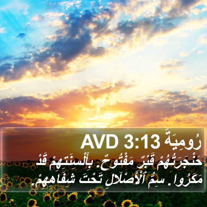 رُومِيَةَ 3:13 AVD Bible Study