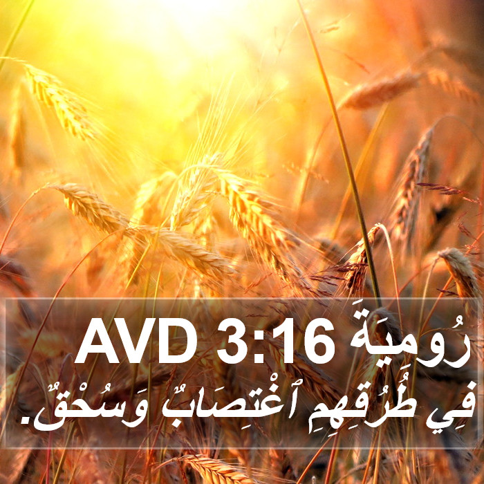 رُومِيَةَ 3:16 AVD Bible Study