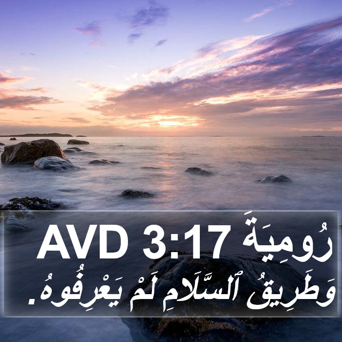 رُومِيَةَ 3:17 AVD Bible Study