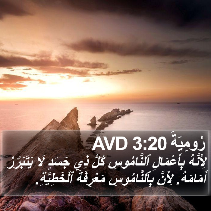 رُومِيَةَ 3:20 AVD Bible Study